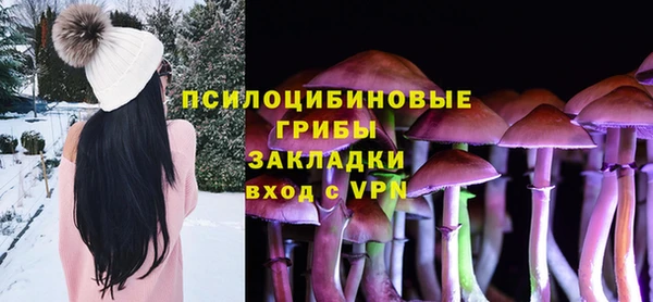 2c-b Елизово