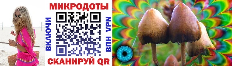 Купить где  Безенчук  Галлюциногенные грибы MAGIC MUSHROOMS 